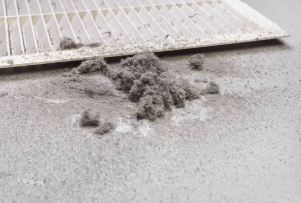 Best Air Duct Cleaning Company Near Me  in Wallis, TX