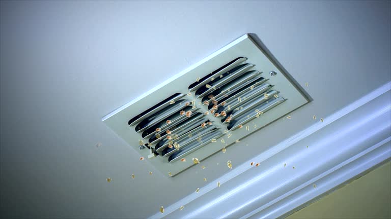 Best Home Air Vent Cleaning  in Wallis, TX